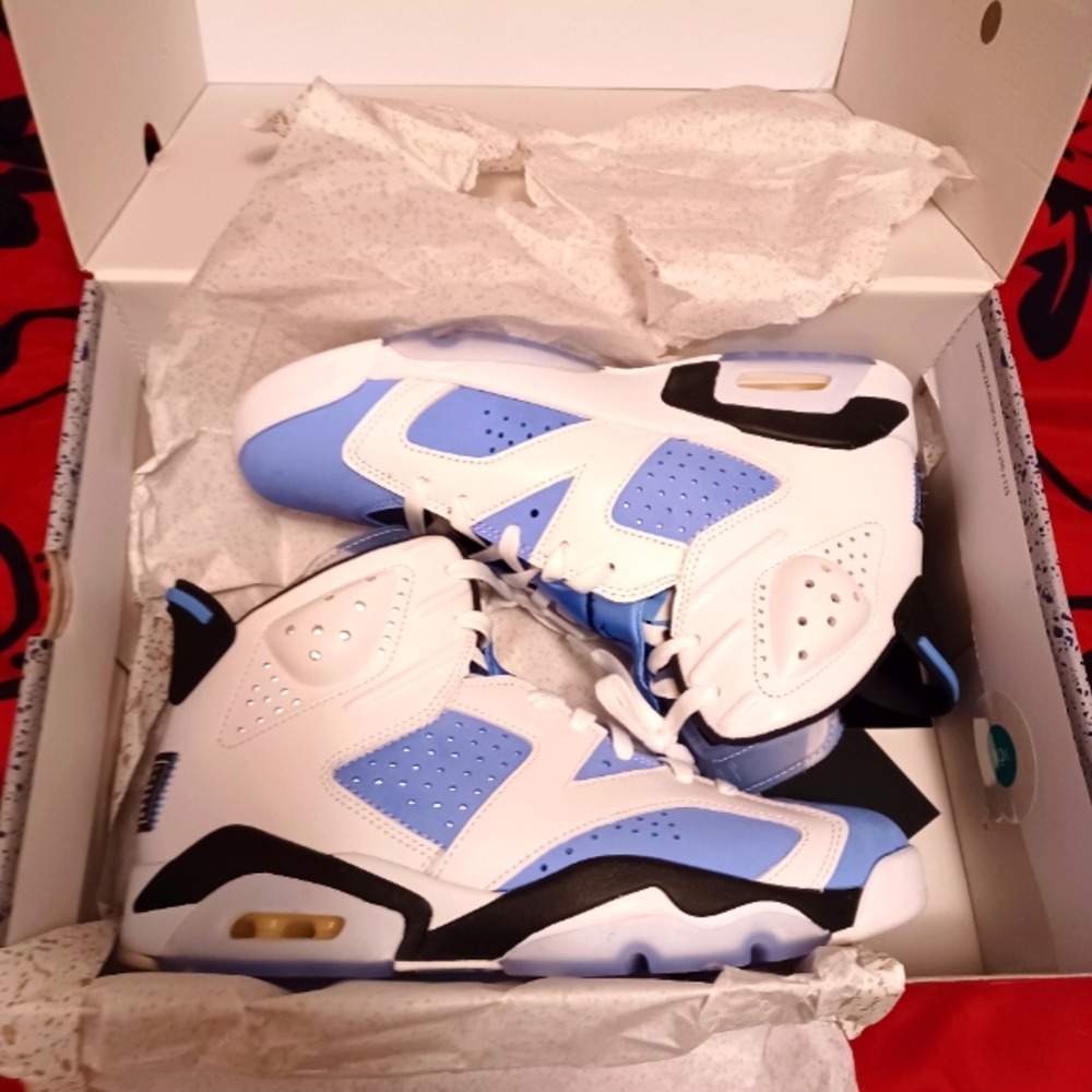 Jordan retro 6